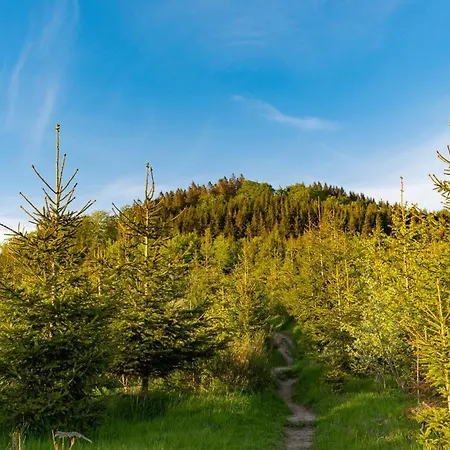 Hoher Knochen Ferienhaus Winterberg