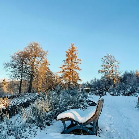 Hébergement de vacances Ferienhaeuser Hoher Knochen Mit Sauna Schmallenberg