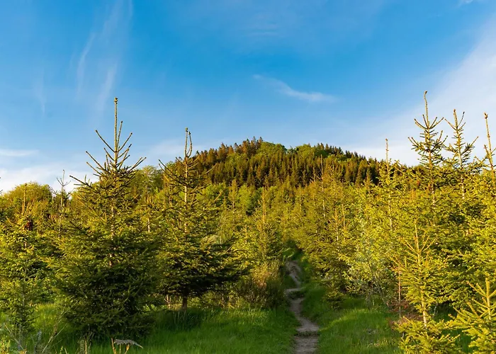 Ferienhaeuser Hoher Knochen Mit Sauna Tatil Evi Winterberg