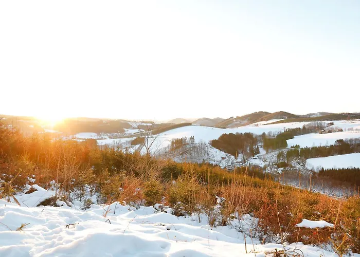 Tatil Evi Ferienhaeuser Hoher Knochen Mit Sauna