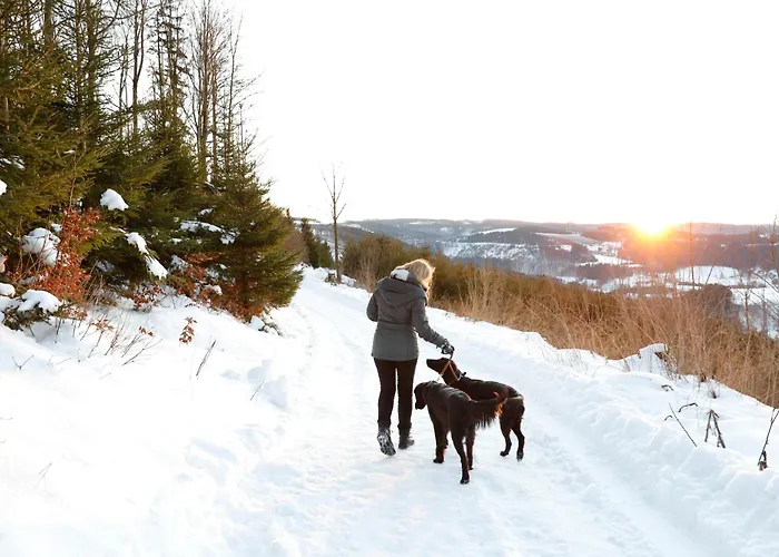 Ferienhaeuser Hoher Knochen Mit Sauna * Winterberg