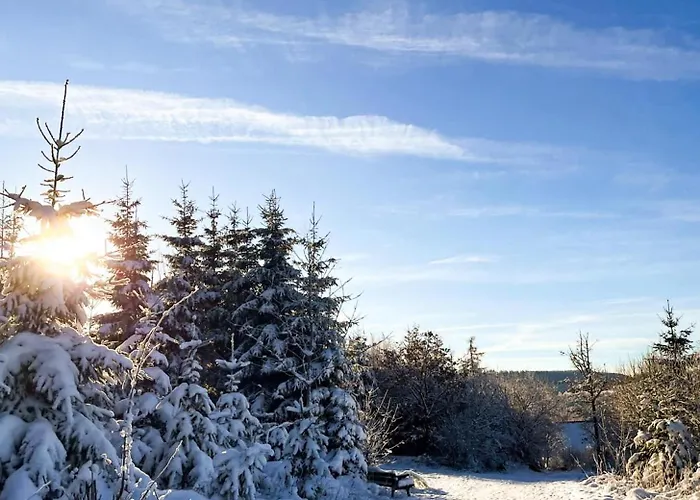 Tatil Evi Ferienhaeuser Hoher Knochen Mit Sauna